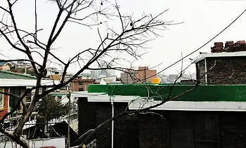 Hotel Cozyplace In Itaewon